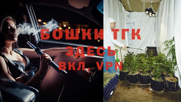 альфа пвп Бородино