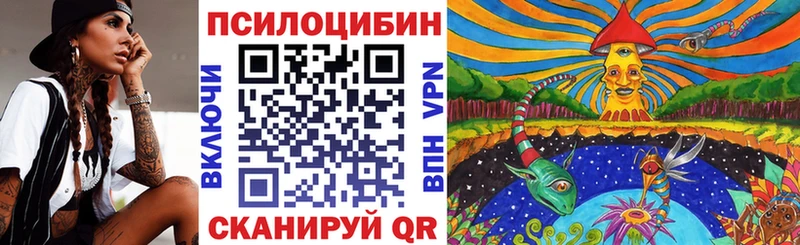 цена наркотик  Ярославль  Галлюциногенные грибы MAGIC MUSHROOMS 