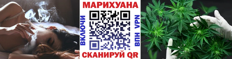 Каннабис сатива Ярославль